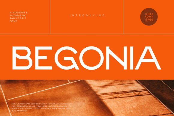 Begonia: A Modern Sans Serif Font for Futuristic Web Design