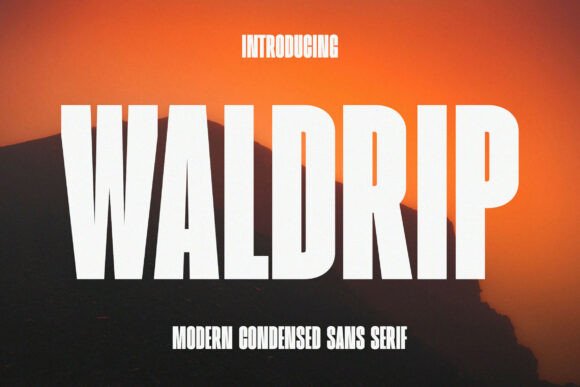 Waldrip: A Modern Sans Serif Font for Branding and Design